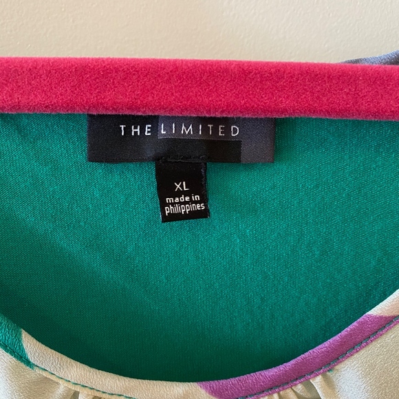 The Limited Multi Color Stripe Tank Top - Picture 2 of 3